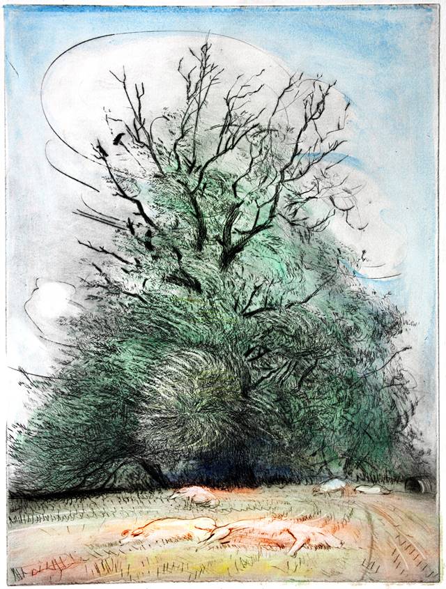 ‘‘Wind in the willows‘‘ - Basking pigs under Black poplar near Terrington,